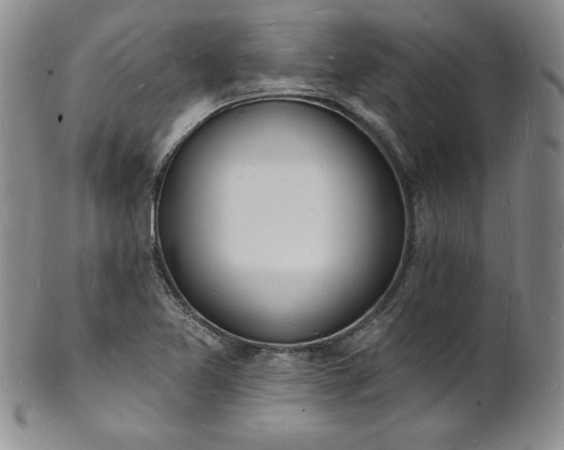 X0000101691365200807171426