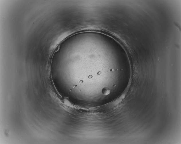 X0000101691367200807171425