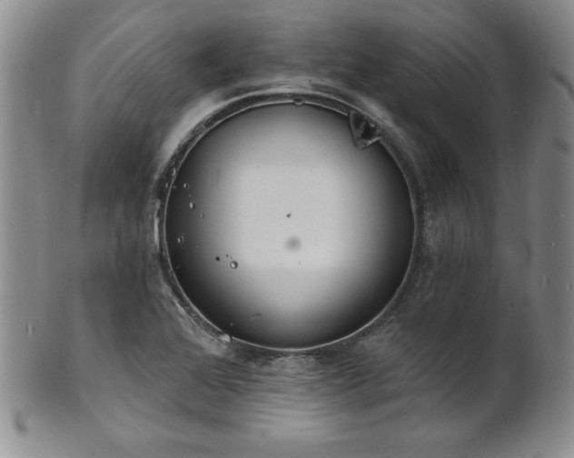 X0000101691368200807171425