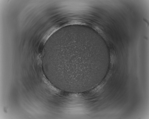 X0000101691369200807171425