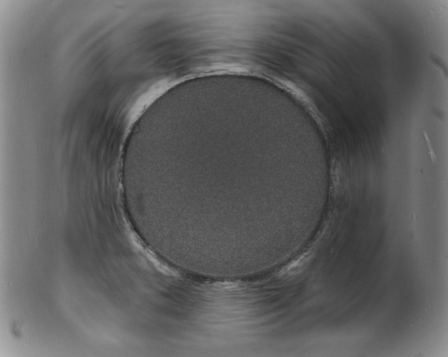 X0000101691373200807171425