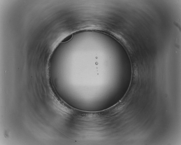 X0000101691375200807171425