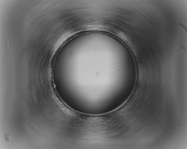 X0000101691376200807171425