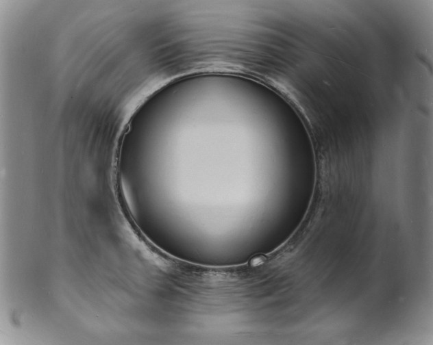 X0000101691379200807171425