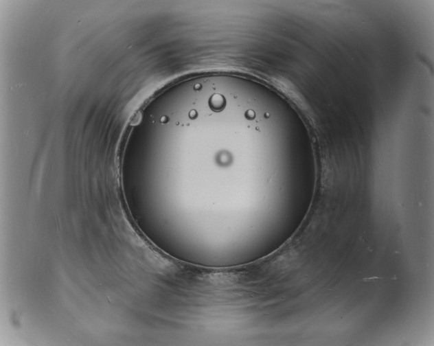 X0000101691380200807171425