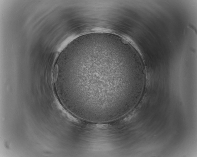 X0000101691381200807171425