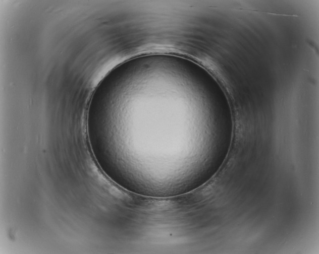 X0000101691382200807171425