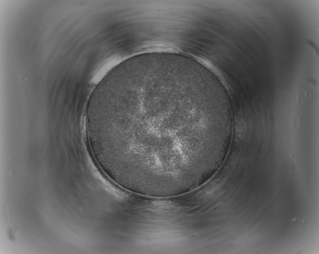 X0000101691383200807171425