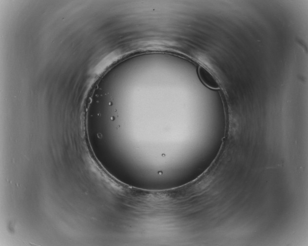 X0000101691384200807171425