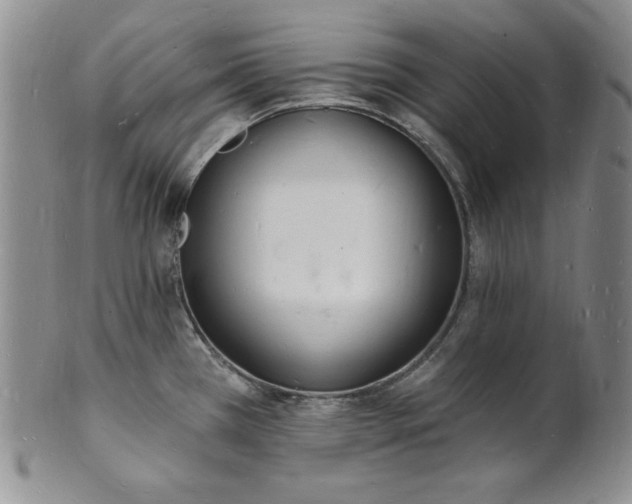 X0000101691385200807171425