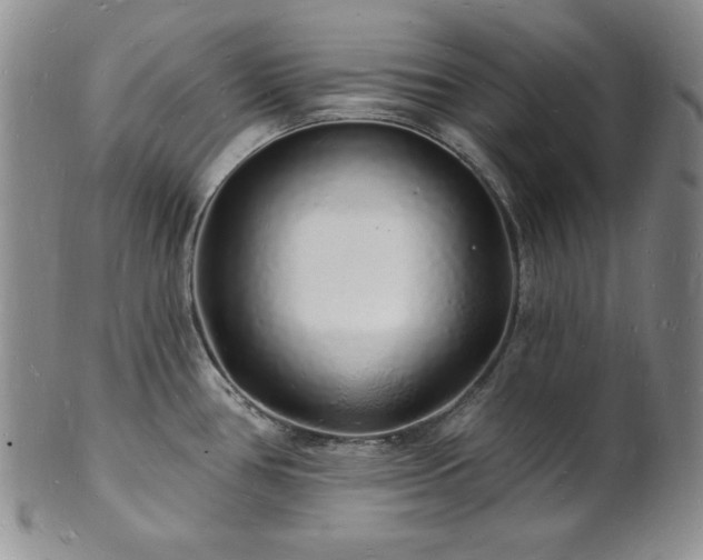 X0000101691386200807171425