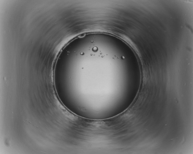 X0000101691388200807171425