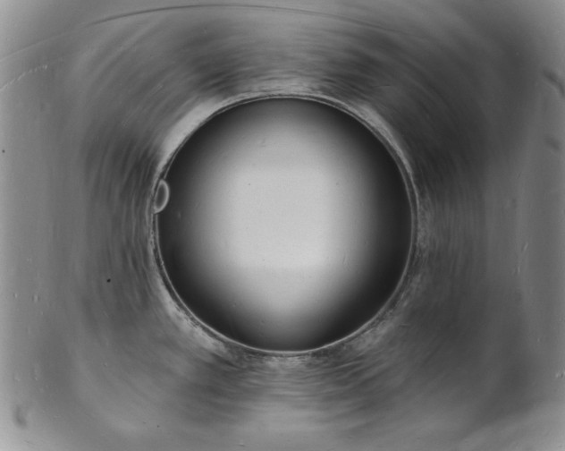 X0000101691389200807171425