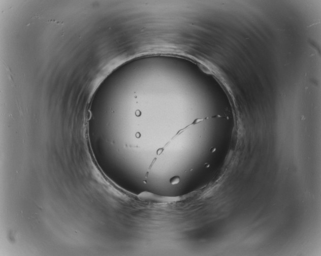 X0000101691390200807171425