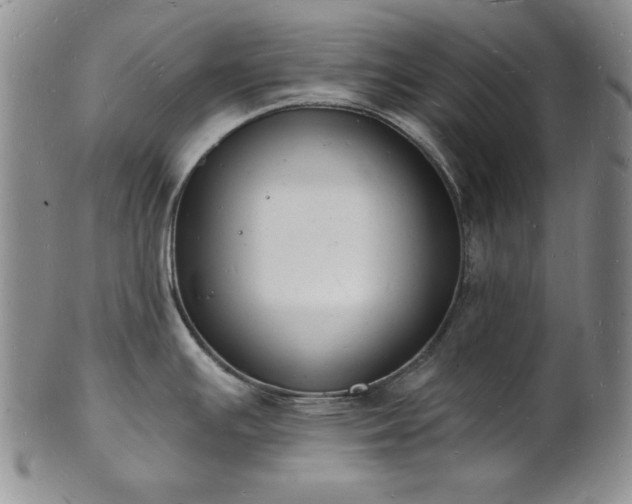 X0000101691391200807171425