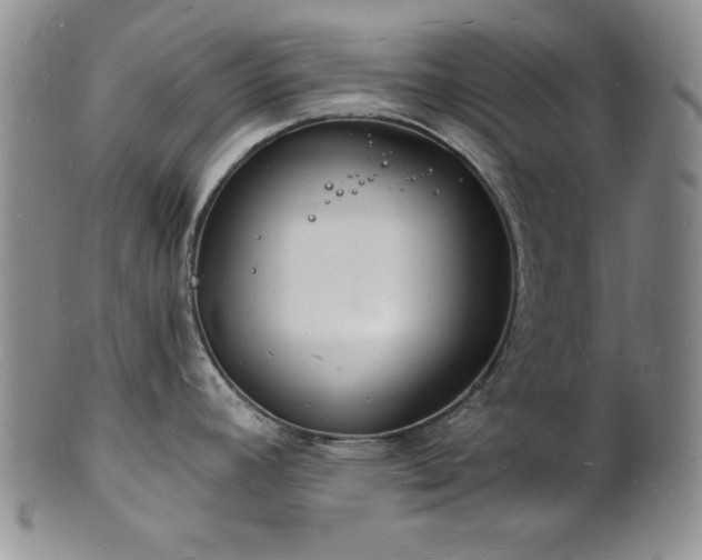 X0000101691392200807171425