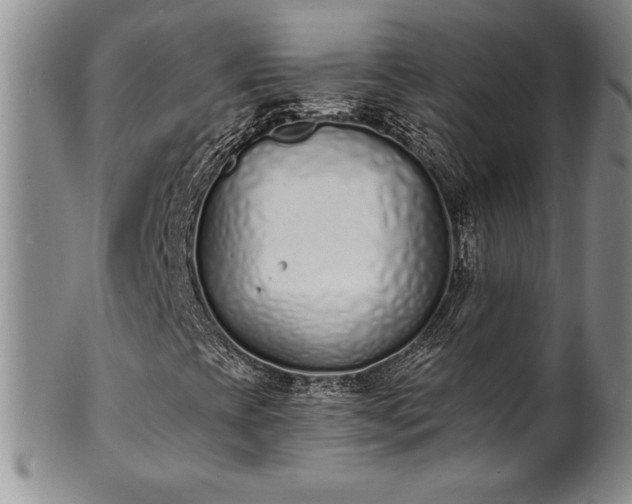 X0000101691393200807171424