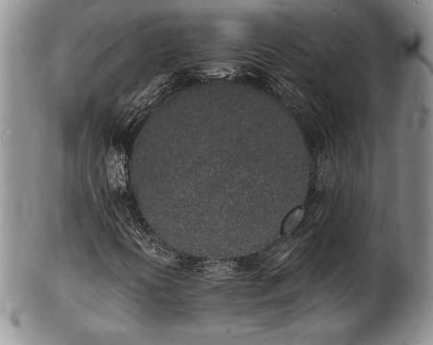 X0000101691394200807171424