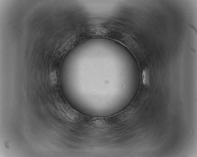 X0000101691395200807171424