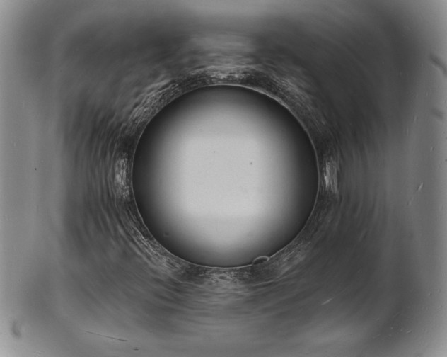 X0000101691396200807171424