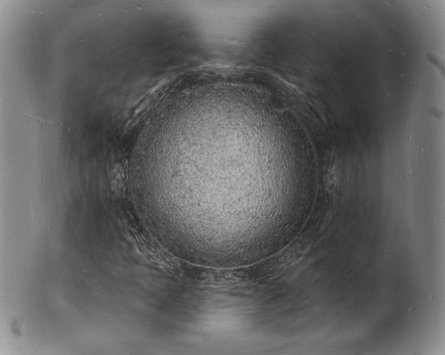 X0000101691397200807171424