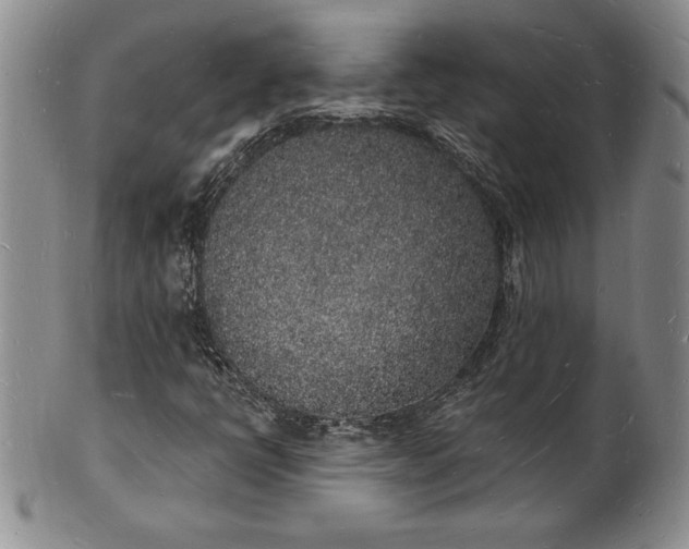 X0000101691398200807171424