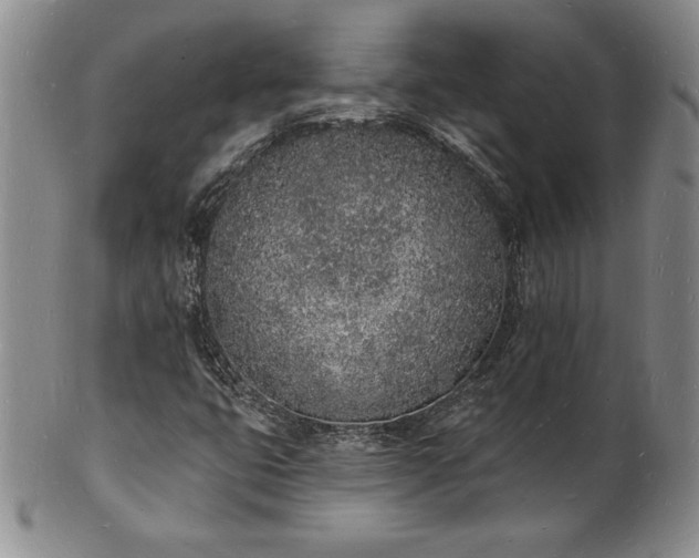 X0000101691399200807171425