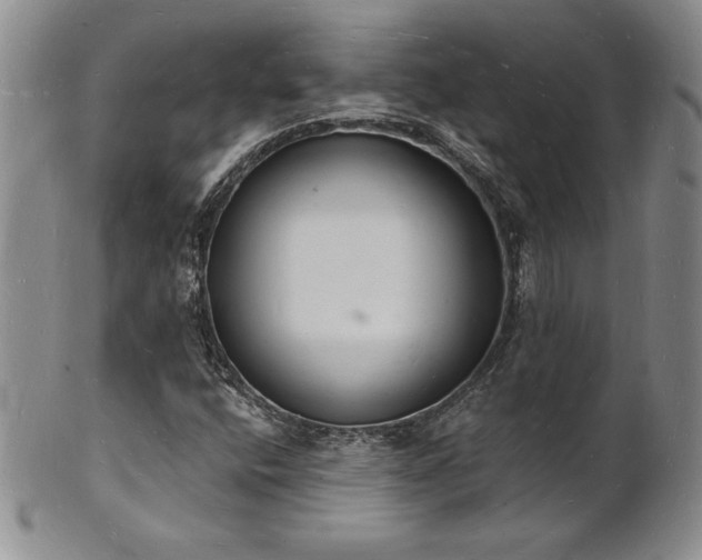 X0000101691400200807171425