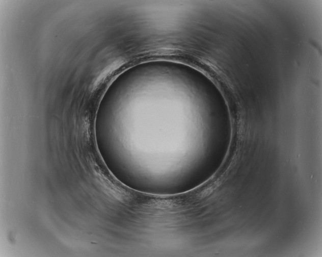 X0000101691402200807171425