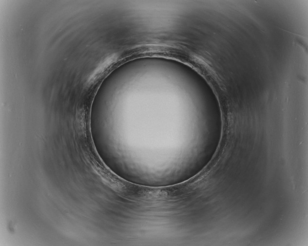 X0000101691403200807171425