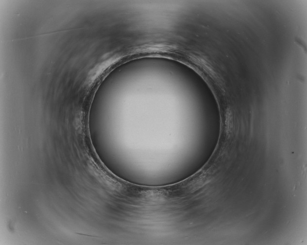 X0000101691404200807171425