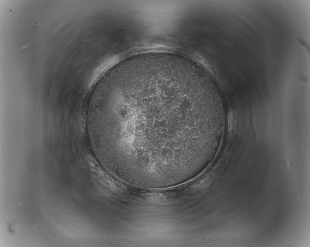 X0000101691405200807171425