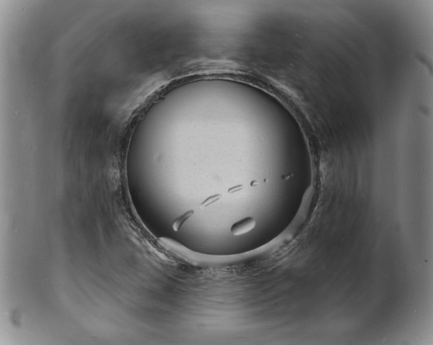 X0000101691407200807171425