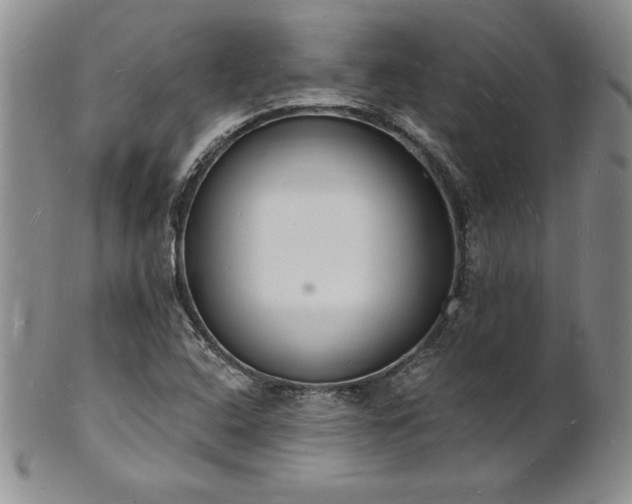 X0000101691408200807171425