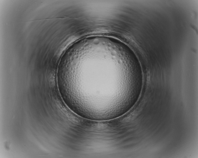 X0000101691409200807171425