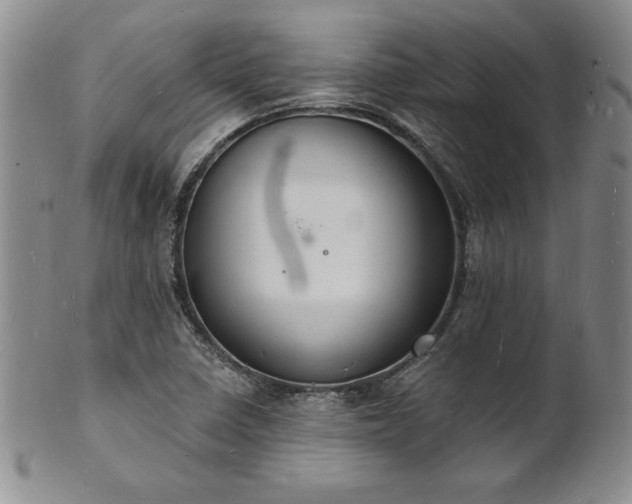 X0000101691410200807171425