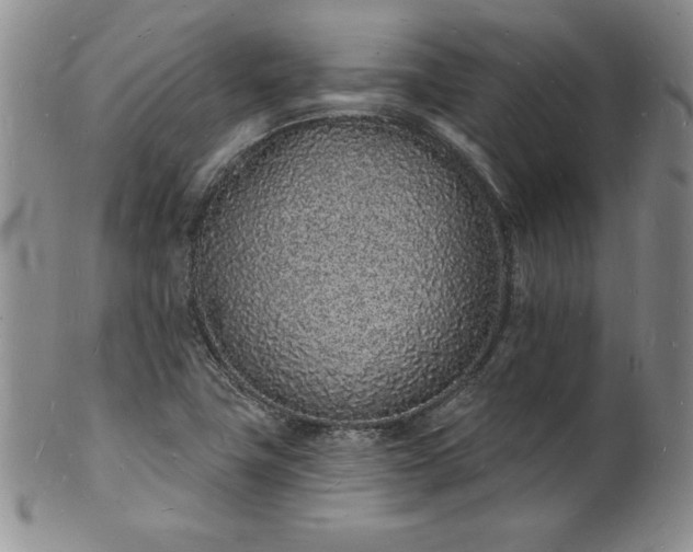 X0000101691411200807171425