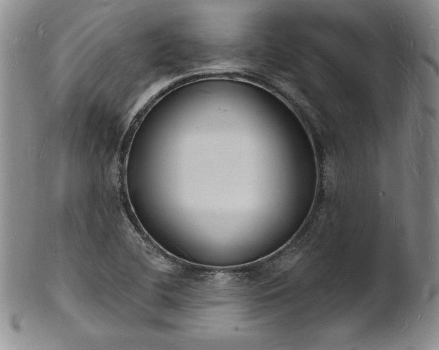 X0000101691412200807171425