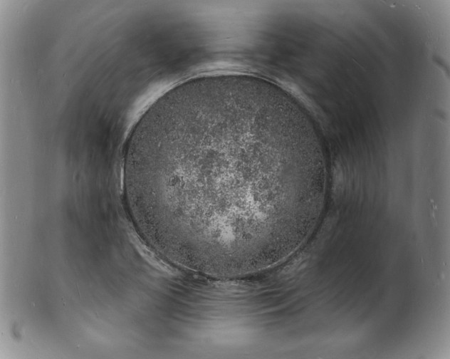 X0000101691413200807171425