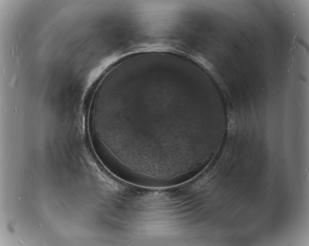 X0000101691414200807171425