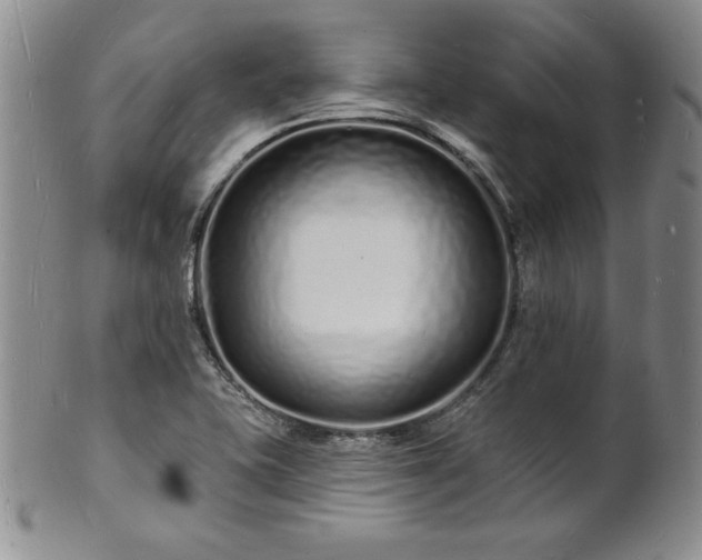 X0000101691415200807171425