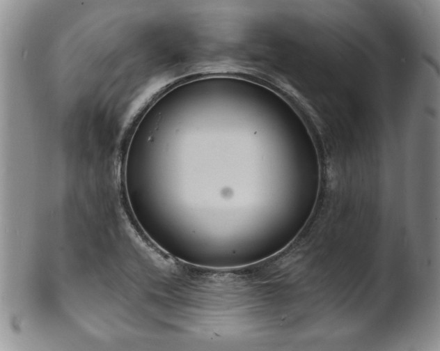 X0000101691416200807171425