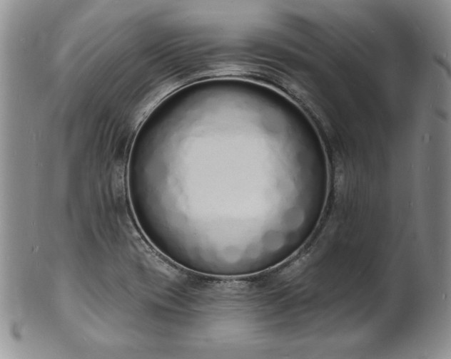 X0000101691417200807171425