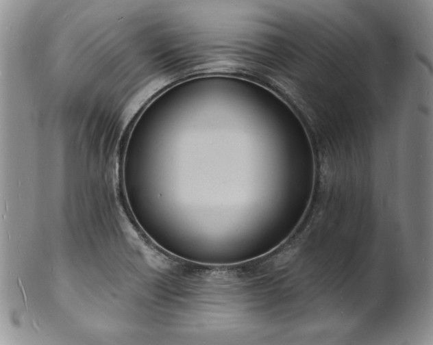 X0000101691418200807171425