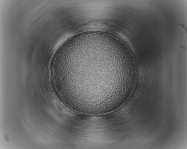 X0000101691419200807171425