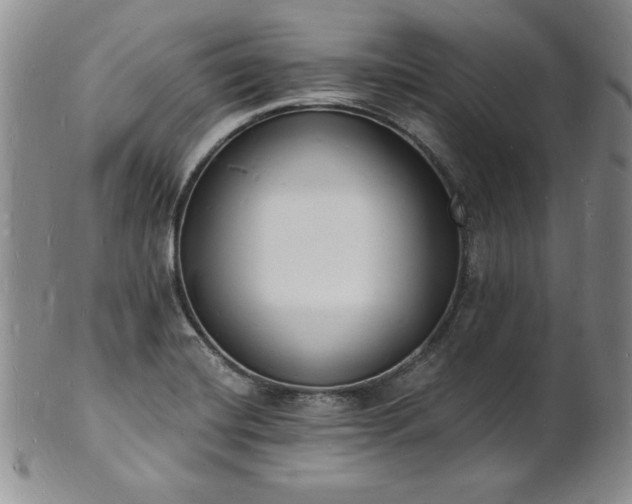 X0000101691420200807171425