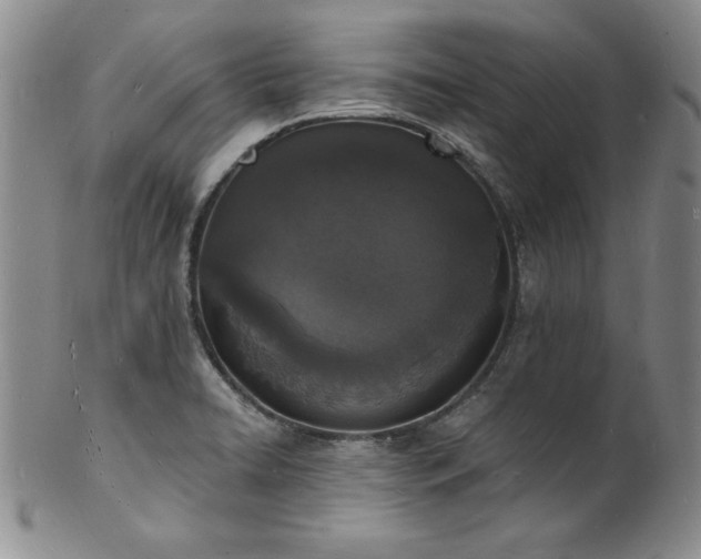 X0000101691422200807171425