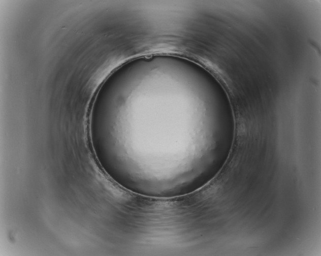 X0000101691423200807171425