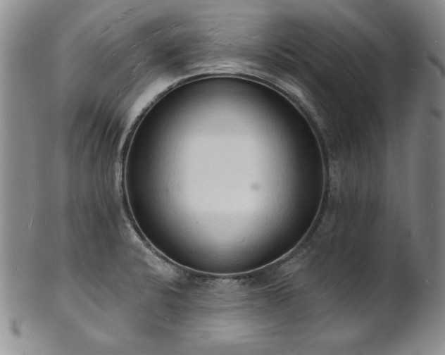 X0000101691424200807171425