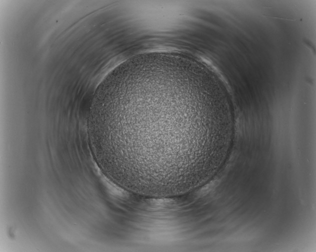 X0000101691425200807171425